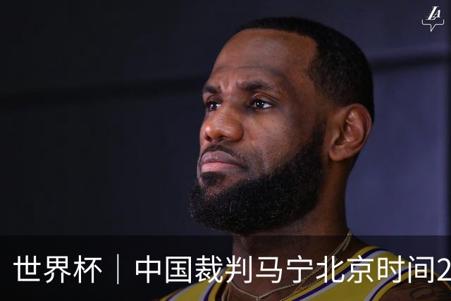 世界杯｜中国裁判马宁北京时间21日登场任主裁