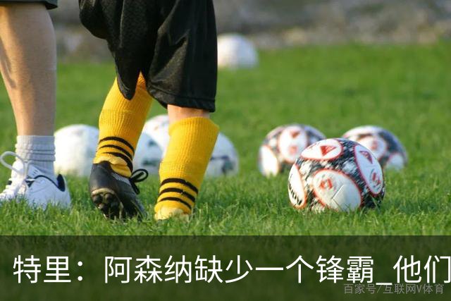 特里：阿森纳缺少一个锋霸 他们距离统治英超只差1、2笔签约